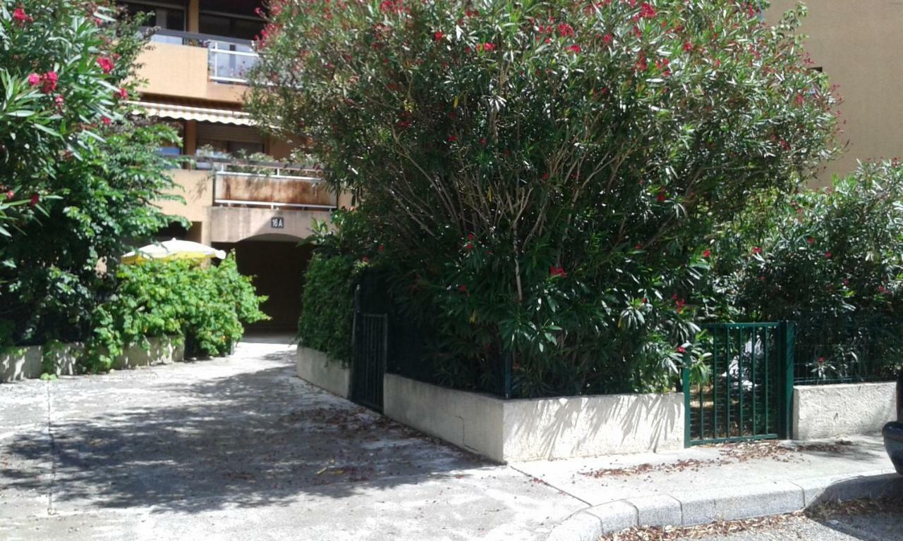 Joli Studio Avec Jardinet Avignon Extérieur photo